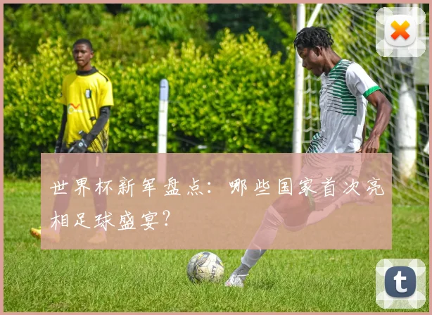 世界杯新军盘点:哪些国家首次亮相足球盛宴?